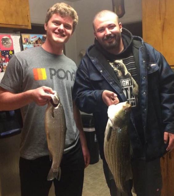 Ray fish
